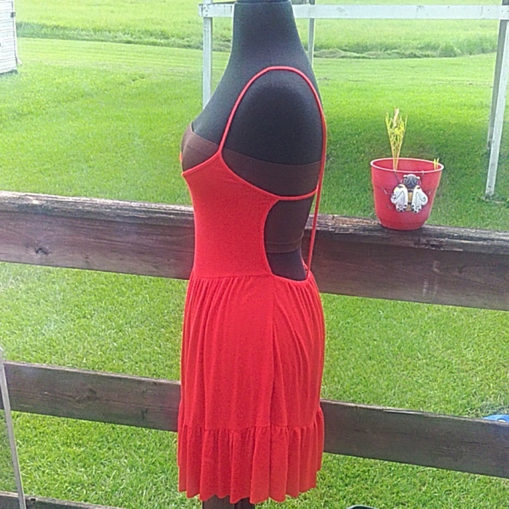 Heart & Hips dress